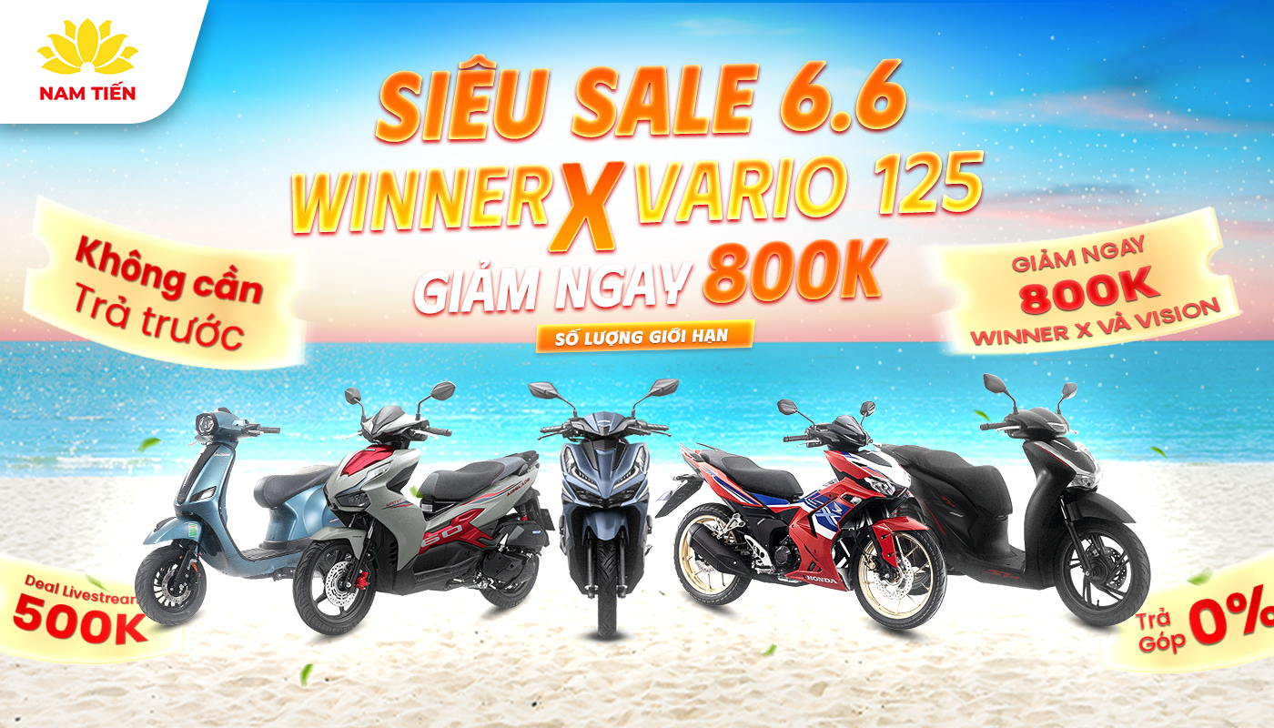 Vario 125 VN