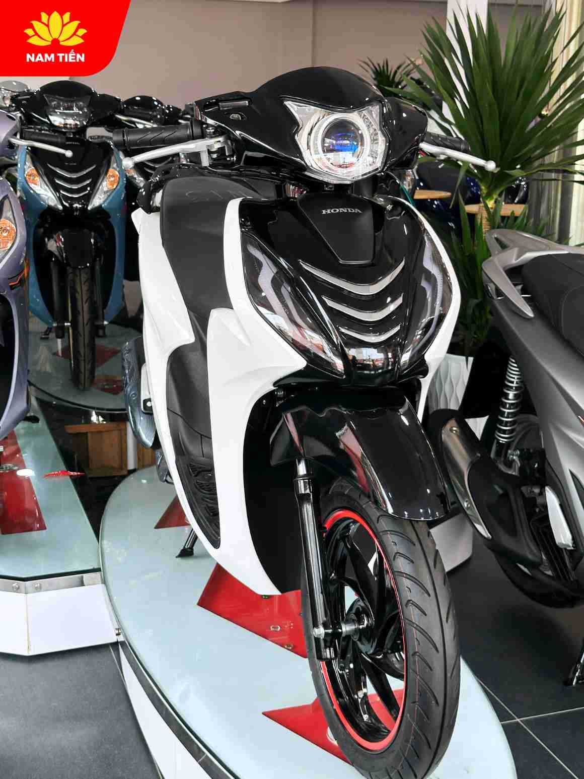 cac-mau-xe-tay-ga-honda